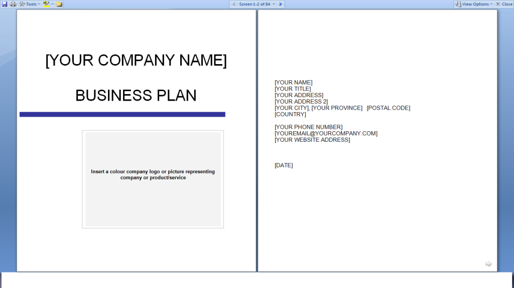 Business Plan Template Free Download