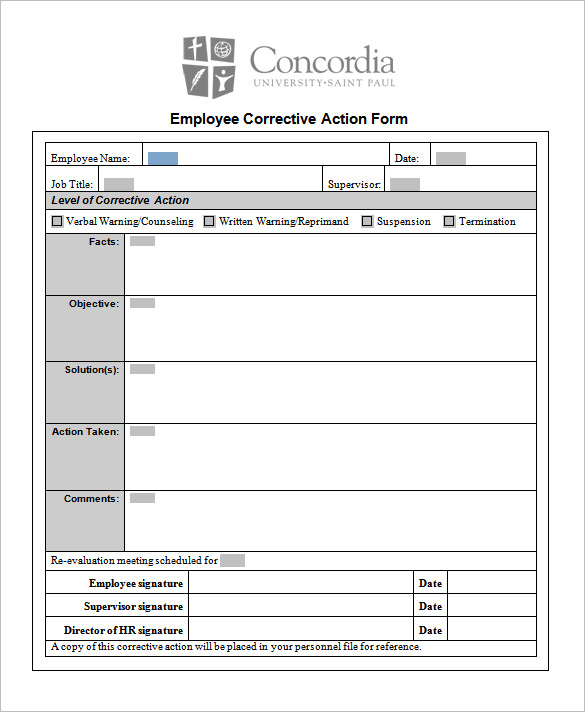Action Plan Template 110+ Free Word, Excel, PDF Documents | Free 