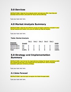 Business Plan Format Download | Business form templates