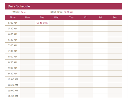 Daily Schedule Office Templates