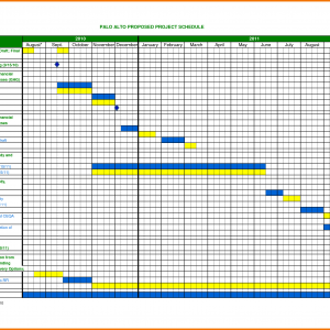 Excel project management template with gantt schedule creation 