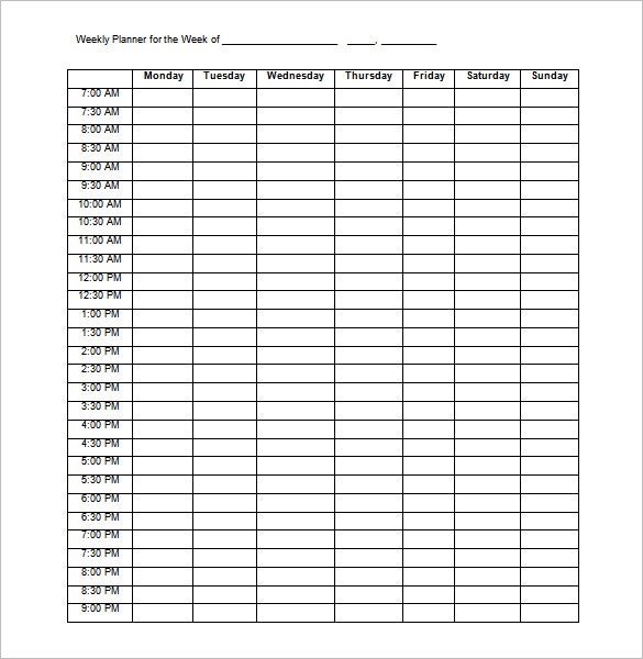 word schedule template Londa.britishcollege.co