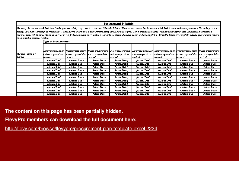 Procurement Plan Template (Excel)