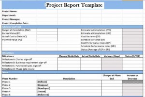 Earned Value Management Templates in Excel XLS Project 