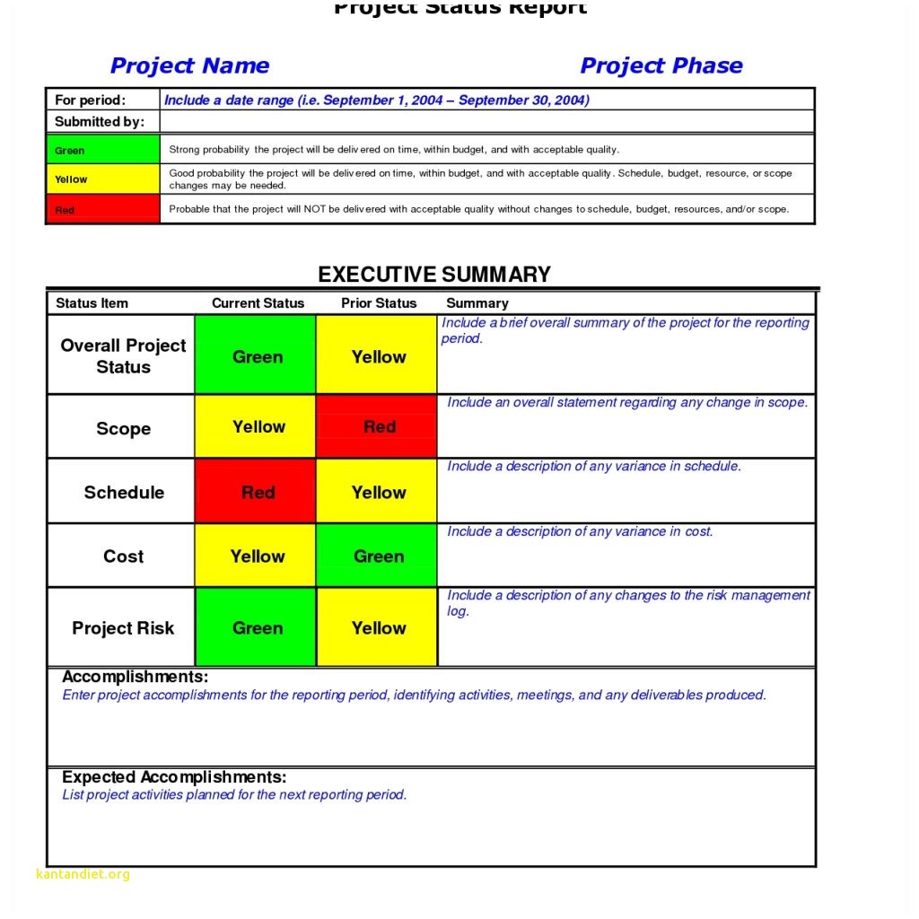 Project Weekly Status Report Template Excel Luxury 8 Weekly Status 