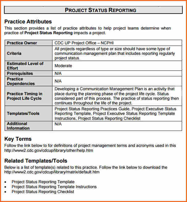 Project Report Template Doc – printable schedule template