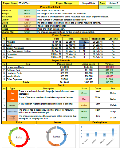 Project Status Report Template Excel | PROject 101 | Pinterest