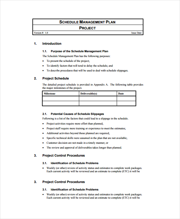 15+ Project Plan Templates | Free & Premium Templates