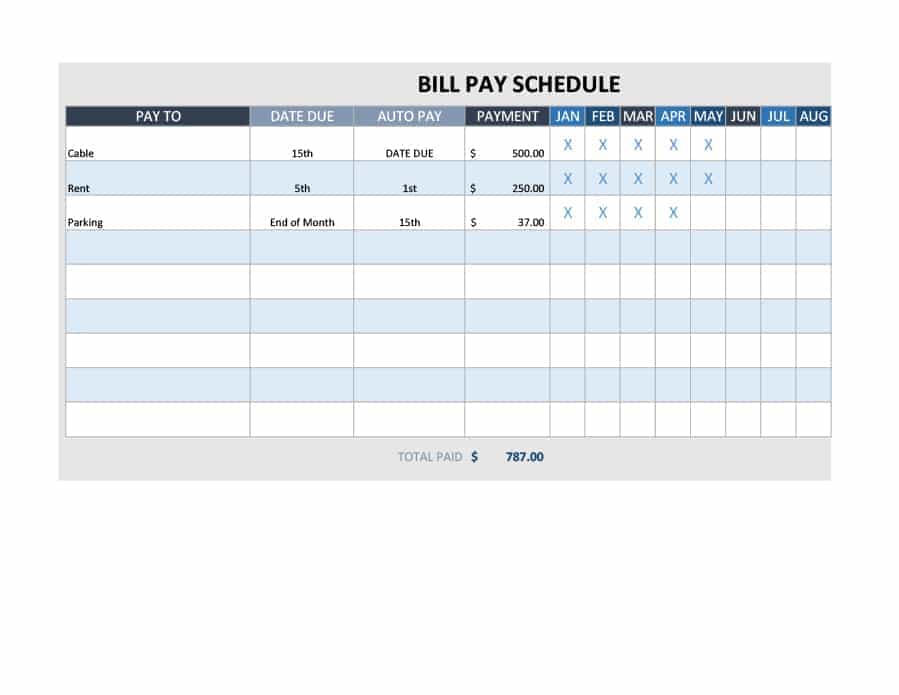 Bill Payment Schedule MS Excel Editable Template | Excel Templates