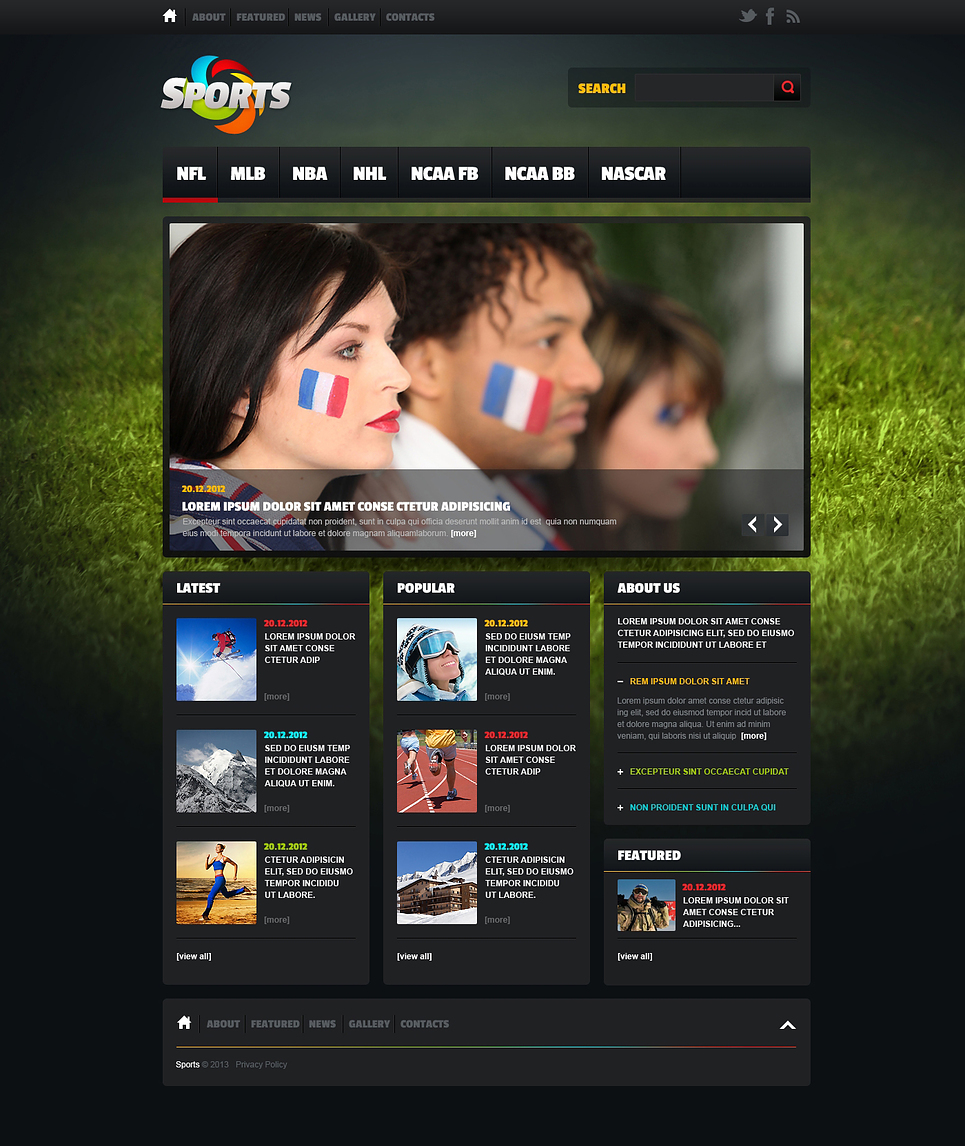 Sports News Website Template #46919