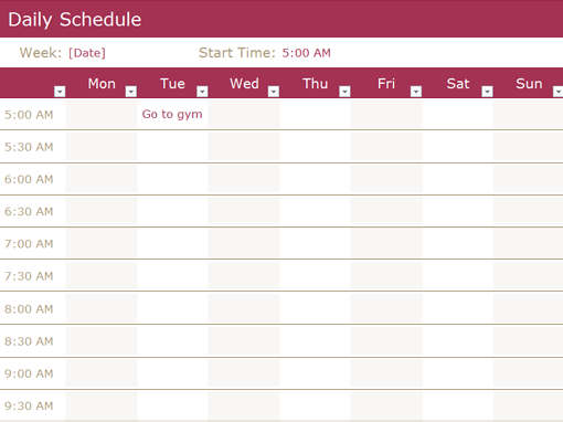 Daily Schedule Office Templates